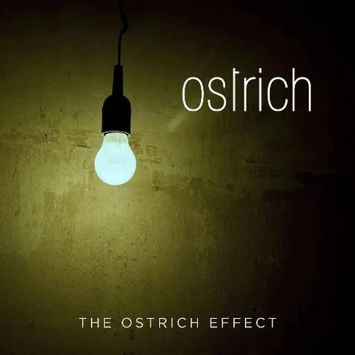 Ostrich - The Ostrich Effect (2012)