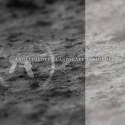 Angeltheory - Landscape Is Liquid (2019)
