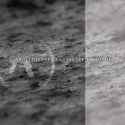 Angeltheory - Landscape Is Liquid (2019)