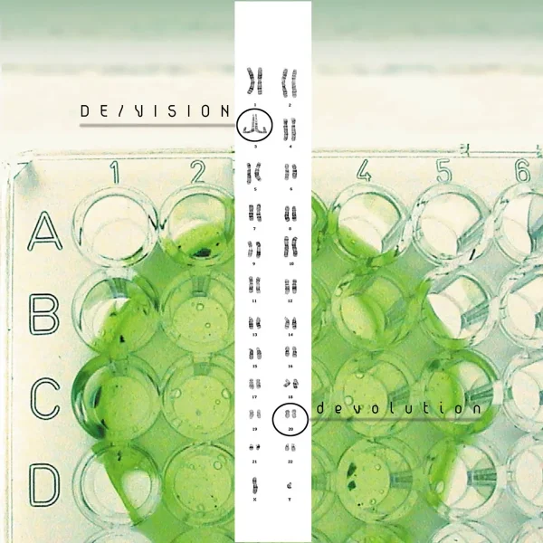 De/Vision - Devolution (2003)