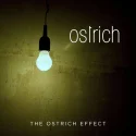 Ostrich - The Ostrich Effect (2012)